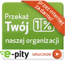 Program do rozliczania PIT 2015 online - e-pity 2015
